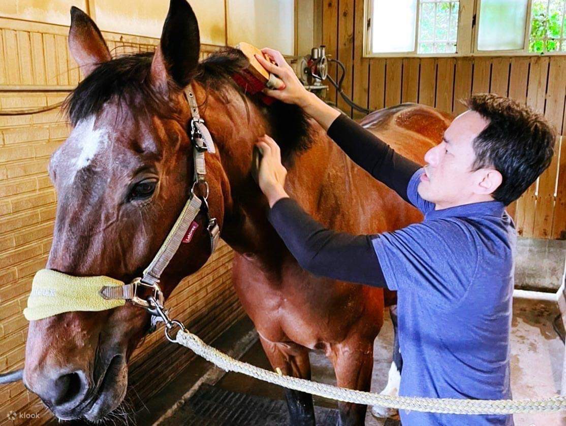 Trải nghiệm huấn luyện viên cưỡi ngựa